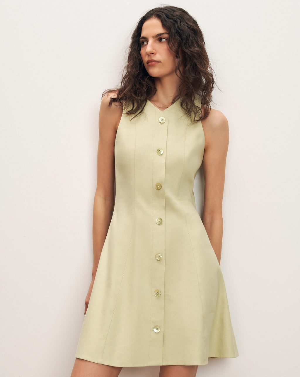 Steiner Button-Down Mini Dress
