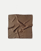 Silk Polka Dot Scarf